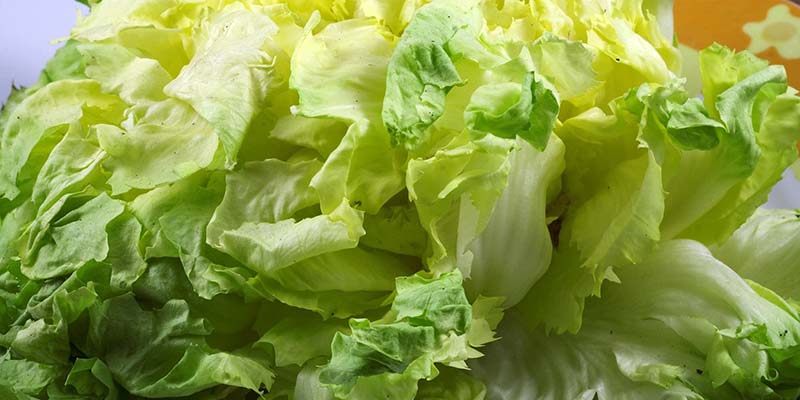 What Exactly Is Escarole?